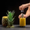 Lurch Ananas-Schneider & -Entkerner Grau 10246