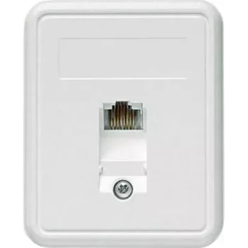 TELEGÄRTNER Aufputz-RJ45-Dose 1xRJ45 ungeschirmt, Cat. 5e (A0174)