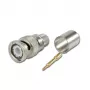 Telegärtner BNC Crimpstecker für RG214/U & RG393/U, 50 Ohm, 1 Stück J01000A0060