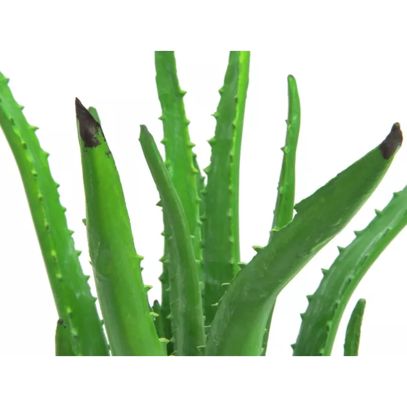 EUROPALMS Künstliche Aloe Vera Pflanze im schwarzen Topf, 63cm 82809112
