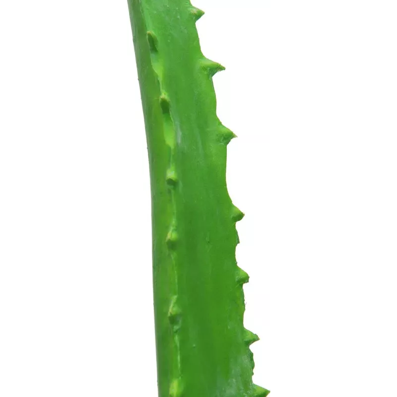 EUROPALMS Künstliche Aloe Vera Pflanze im schwarzen Topf, 63cm 82809112