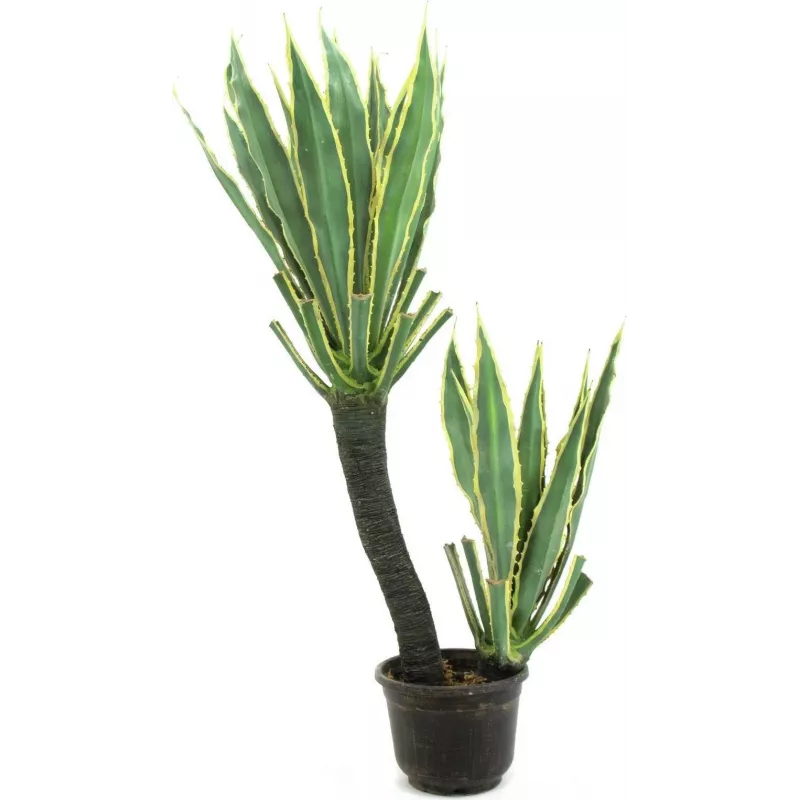 EUROPALMS Orchideenkaktus Kunstpflanze, 160cm 82809035
