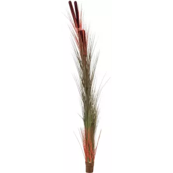EUROPALMS Künstliches Schilfgras mit Kolben, Hellbraun, 152cm 82505856