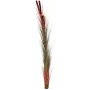 EUROPALMS Künstliches Schilfgras mit Kolben, Hellbraun, 152cm 82505856