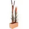 EUROPALMS Künstliches Schilfgras mit Kolben, Hellbraun, 152cm 82505856