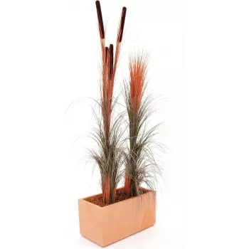 EUROPALMS Künstliches Schilfgras mit Kolben, Hellbraun, 152cm 82505856