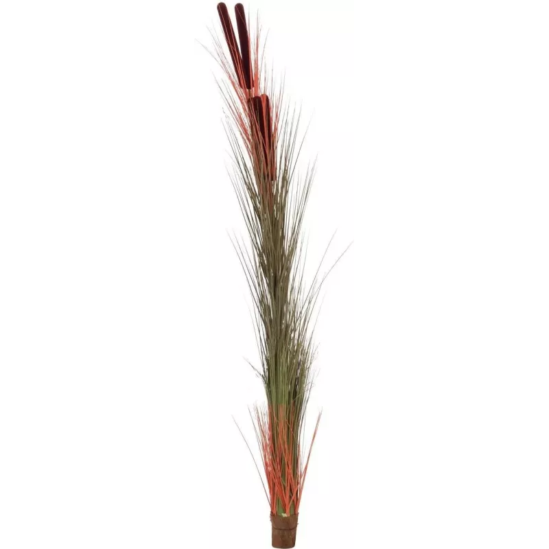 EUROPALMS Künstliches Schilfgras mit Kolben, Hellbraun, 152cm 82505856