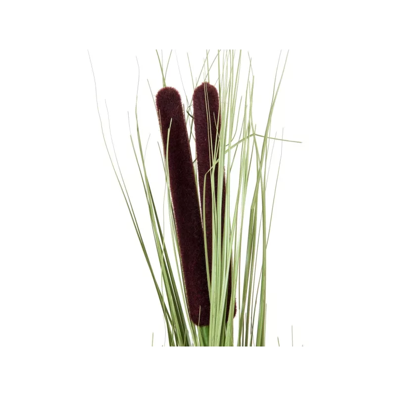 EUROPALMS Künstliches Schilfgras mit Kolben, Hellgrün, 152cm 82505855