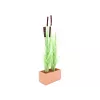 EUROPALMS Künstliches Schilfgras mit Kolben, Hellgrün, 152cm 82505855