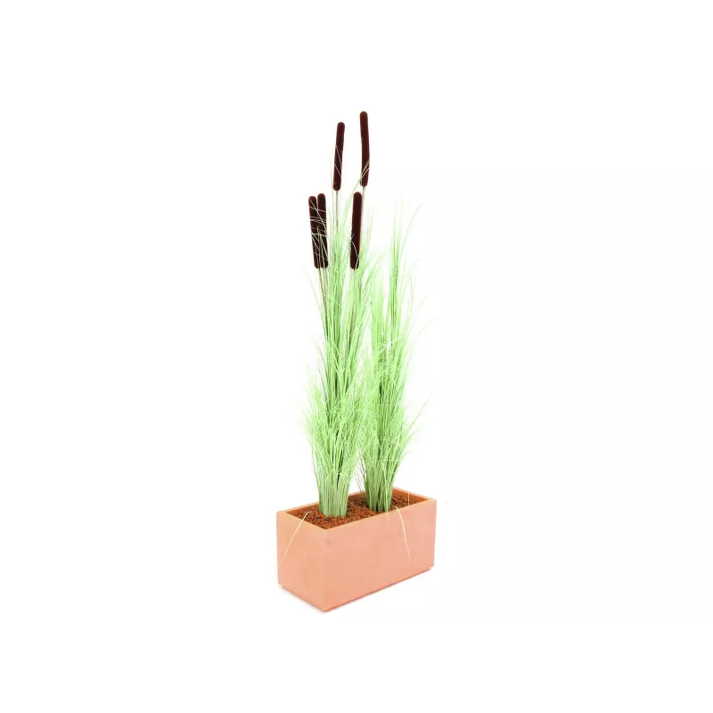 EUROPALMS Künstliches Schilfgras mit Kolben, Hellgrün, 152cm 82505855