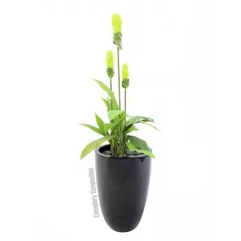 Europalms LEICHTSIN CUP-69 Pflanzgefäß, Schwarz, glänzend (83011819)