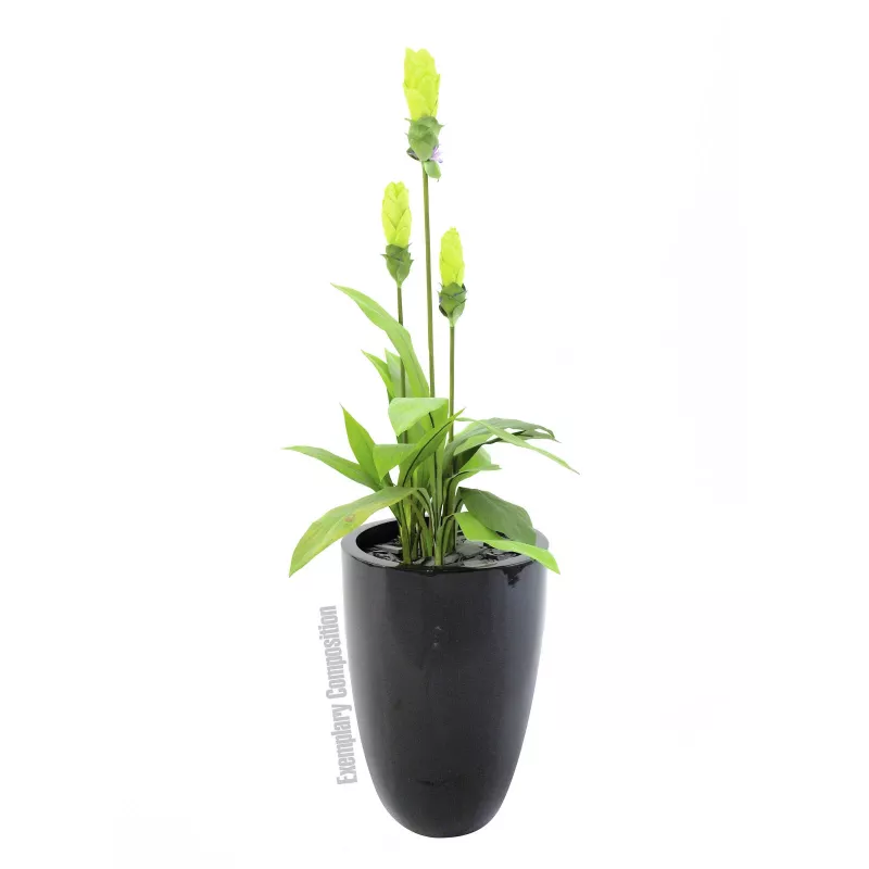 Europalms LEICHTSIN CUP-69 Pflanzgefäß, Schwarz, glänzend (83011819)