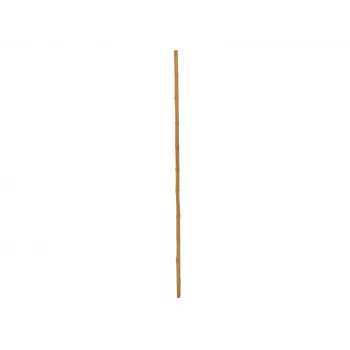 EUROPALMS Bambus-Stange, Ø 3 cm, Länge 200 cm 83313200