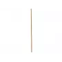 EUROPALMS Bambus-Stange, Ø 3 cm, Länge 200 cm 83313200