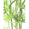 EUROPALMS Künstliches Zyperngras, 76cm, im schwarzen Topf 82600138
