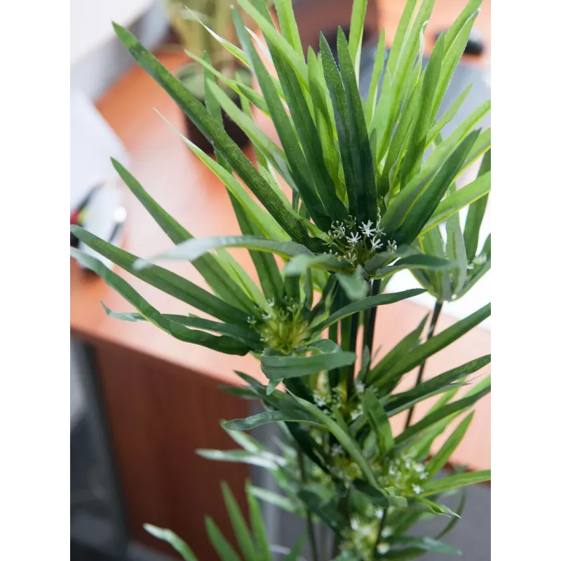 EUROPALMS Künstliches Zyperngras, 76cm, im schwarzen Topf 82600138