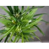EUROPALMS Künstliches Zyperngras, 76cm, im schwarzen Topf 82600138