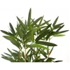 EUROPALMS Künstlicher Bambus in Dekorativer Schale, 150cm 82509262