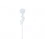 EUROPALMS Crystal Rose Kunstblume, Transparent, 81cm, 12er-Pack Vorteilspackung 82600210