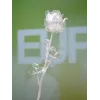 EUROPALMS Crystal Rose Kunstblume, Transparent, 81cm, 12er-Pack Vorteilspackung 82600210