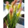 EUROPALMS Federgras, künstlich, Rosé, 90cm 82505865