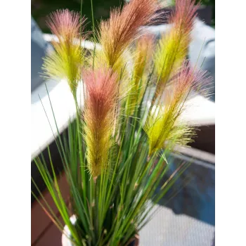 EUROPALMS Federgras, künstlich, Rosé, 90cm 82505865