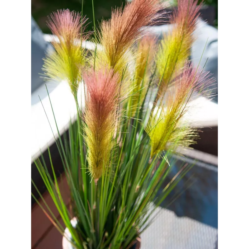 EUROPALMS Federgras, künstlich, Rosé, 90cm 82505865