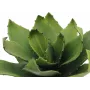 EUROPALMS Agave Kunstpflanze, EVA, Grün, 35 cm 82530576
