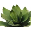 EUROPALMS Agave Kunstpflanze, EVA, Grün, 35 cm 82530576