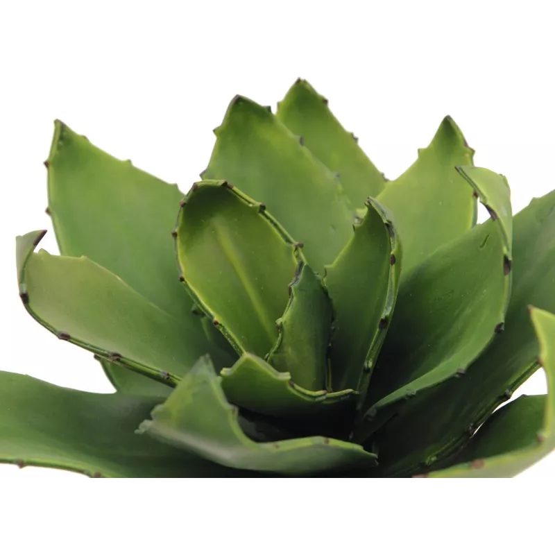 EUROPALMS Agave Kunstpflanze, EVA, Grün, 35 cm 82530576