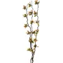 EUROPALMS Torfmyrte Zweige mit LEDs, 180 cm 83330312