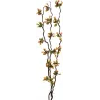 EUROPALMS Torfmyrte Zweige mit LEDs, 180 cm 83330312
