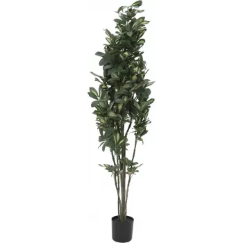 EUROPALMS Schefflera Kunstpflanze, 120cm, Grün 82600157