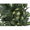 EUROPALMS Schefflera Kunstpflanze, 120cm, Grün 82600157