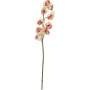 EUROPALMS Künstlicher Cymbidium-Zweig, Creme-Pink, 90cm 82530311