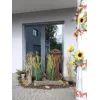 EUROPALMS Künstlicher Grasbusch, 150cm, Grün, Innenraumdekoration 82600127
