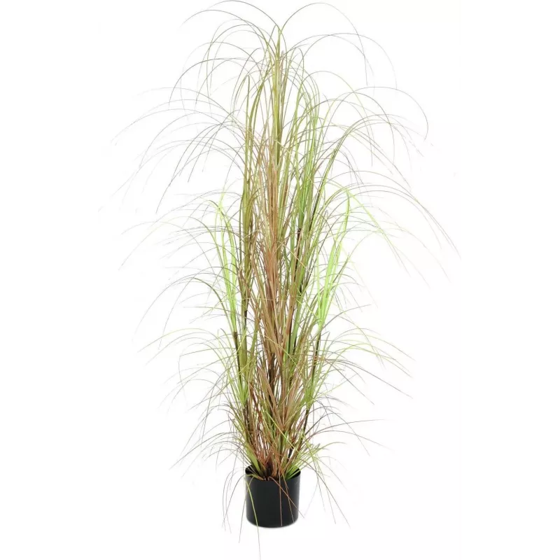 EUROPALMS Künstlicher Grasbusch, 150cm, Grün, Innenraumdekoration 82600127