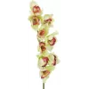 EUROPALMS Künstlicher Cymbidium-Orchideenzweig, Grün, 90cm 82530313