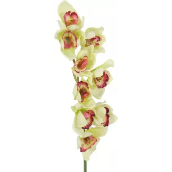 EUROPALMS Künstlicher Cymbidium-Orchideenzweig, Grün, 90cm 82530313