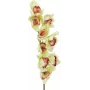 EUROPALMS Künstlicher Cymbidium-Orchideenzweig, Grün, 90cm 82530313