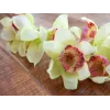 EUROPALMS Künstlicher Cymbidium-Orchideenzweig, Grün, 90cm 82530313