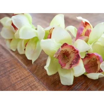 EUROPALMS Künstlicher Cymbidium-Orchideenzweig, Grün, 90cm 82530313