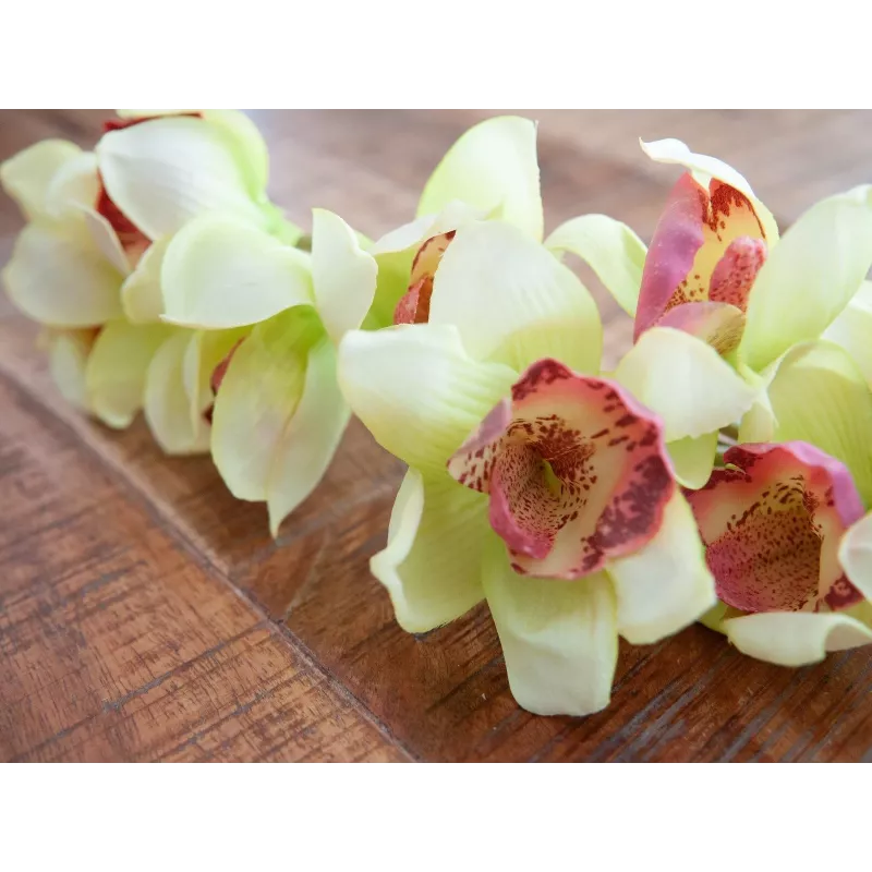 EUROPALMS Künstlicher Cymbidium-Orchideenzweig, Grün, 90cm 82530313