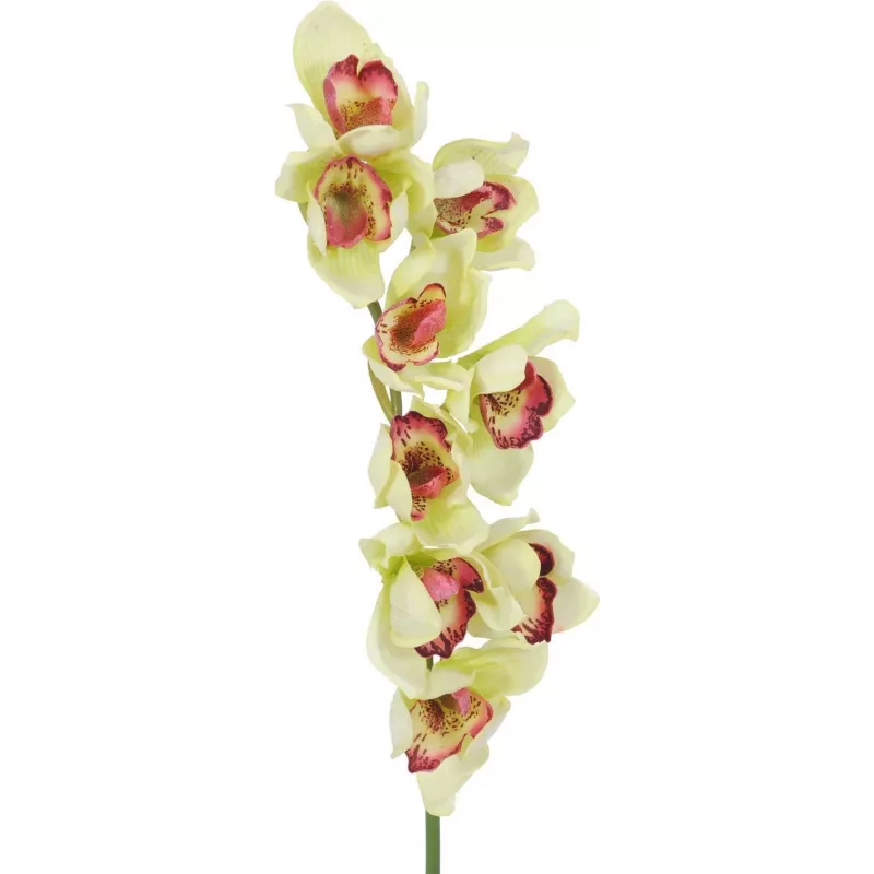 EUROPALMS Künstlicher Cymbidium-Orchideenzweig, Grün, 90cm 82530313