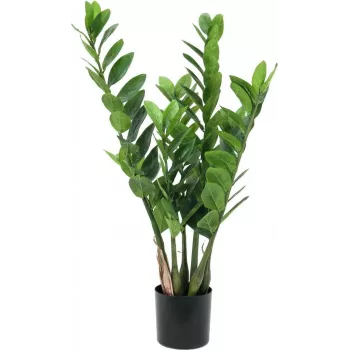 EUROPALMS Zamifolia Künstliche ZZ-Pflanze, 70 cm, Schwarzer Topf 82600153