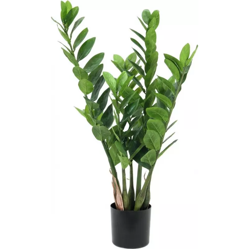 EUROPALMS Zamifolia Künstliche ZZ-Pflanze, 70 cm, Schwarzer Topf 82600153