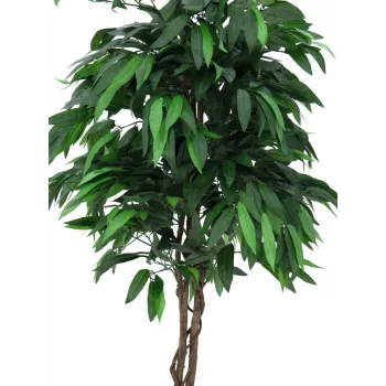 EUROPALMS Künstlicher Mango-Dschungelbaum, 180 cm 82506726