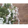 EUROPALMS Künstlicher Goldregenbaum, weiße Blüten, 180cm 82507106