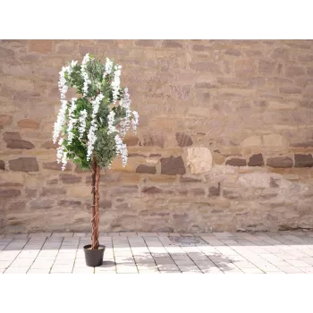 EUROPALMS Künstlicher Goldregenbaum, weiße Blüten, 180cm 82507106