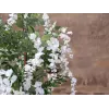 EUROPALMS Künstlicher Goldregenbaum, weiße Blüten, 180cm 82507106